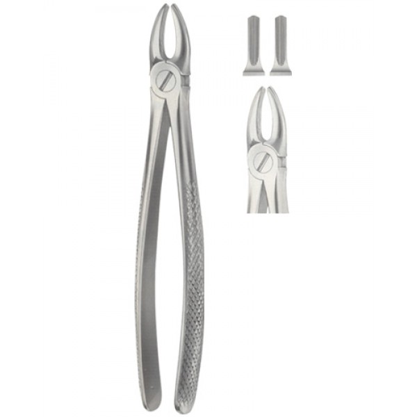Tooth Extracting Forceps